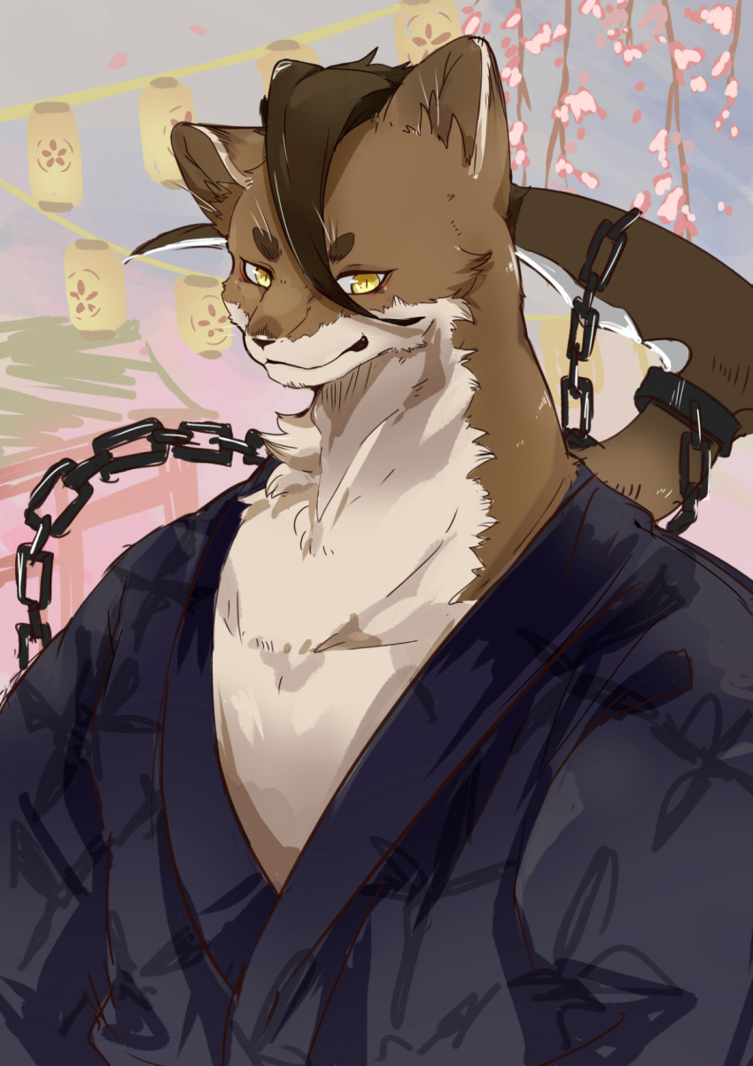 1boy animal_ears ao_gravity chain cherry_blossoms claws commentary_request fangs furry furry_male genshin_impact highres japanese_clothes kamai_kenji kimono lantern looking_at_viewer male_focus paper_lantern upper_body weasel_boy weasel_ears yukata