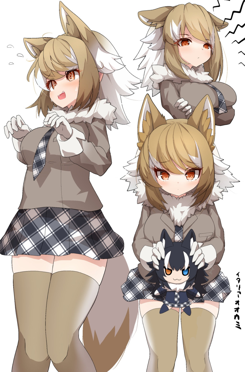 :3 @_@ absurdres blue_eyes blush brown_sweater brown_thighhighs character_doll crossed_arms fur_collar gloves grey_necktie grey_skirt grey_wolf_(kemono_friends) hair_between_eyes heterochromia highres italian_wolf_(kemono_friends) karekusa_meronu kemono_friends light_brown_hair long_sleeves looking_at_viewer multicolored_hair multiple_views necktie orange_eyes plaid plaid_necktie plaid_skirt pleated_skirt short_hair sidelocks skirt sleeve_cuffs sweater thigh-highs translation_request white_fur white_gloves white_hair yellow_eyes zettai_ryouiki