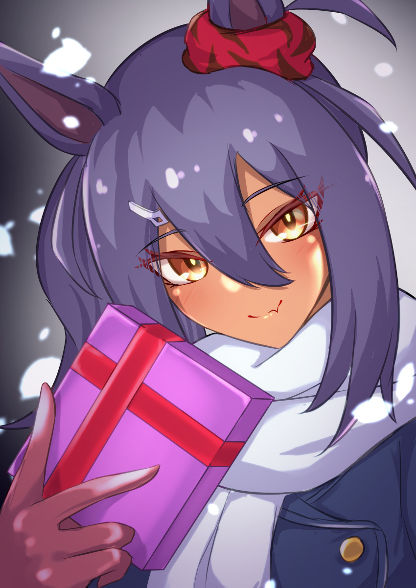 1girl absurdres black_hair blue_coat blush box brown_eyes closed_mouth coat commentary_request dark-skinned_female dark_skin ear_ornament eve_on_k fang hair_ornament hairclip highres hishi_amazon_(umamusume) holding holding_box long_hair looking_at_viewer pink_box scarf skin_fang smile snowing solo tracen_winter_coat umamusume upper_body white_scarf