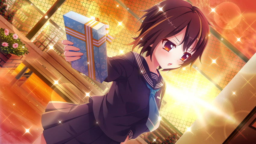 1girl averting_eyes bandou_mikuru blonde_hair blue_necktie blue_serafuku blush box breasts brick brown_hair chain-link_fence door dutch_angle evening fence film_grain floral_print flower game_cg gift gift_box hand_on_own_hip incoming_gift izumi_tsubasu lens_flare long_sleeves multicolored_hair necktie non-web_source official_art open_mouth orange_sky outdoors pink_flower re:stage! red_eyes school_uniform serafuku short_hair sky small_breasts solo sparkle streaked_hair sun two-tone_hair white_day wooden_bench