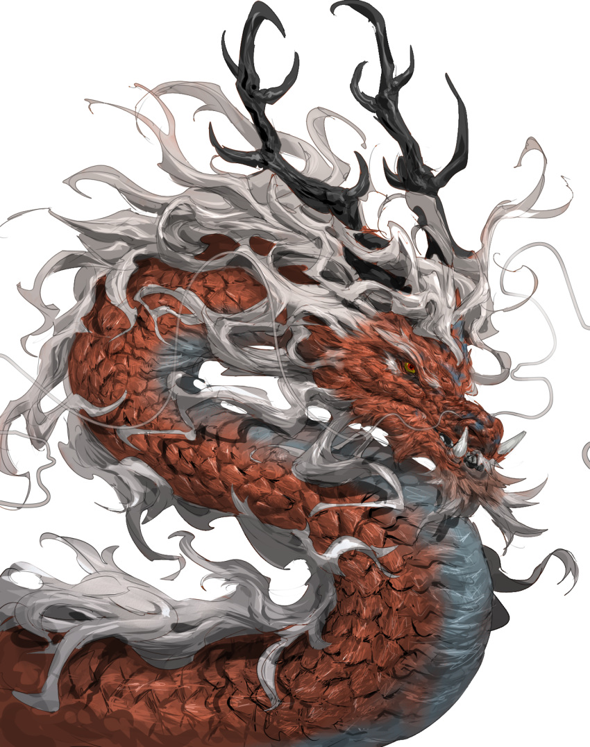 animal_focus antlers chinese_commentary colored_sclera commentary_request dragon eastern_dragon from_side highres horns looking_at_viewer mane no_humans original profile red_eyes scales simple_background solo tusks upper_body white_background xiaopizi32439 yellow_sclera