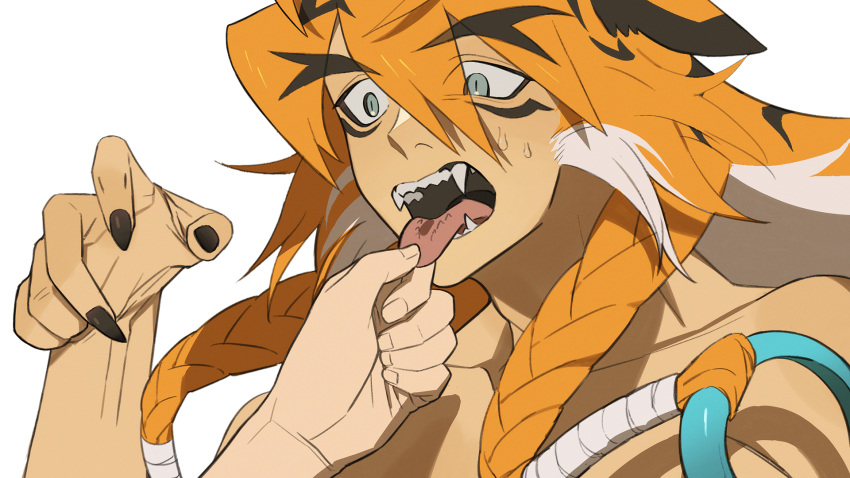 1boy animal_ears barbed_tongue braid brown_hair brown_nails disembodied_limb fangs fingernails green_eyes hair_between_eyes hand_up highres holding_another's_tongue jssammy_zhou long_hair male_focus multicolored_hair open_mouth orange_hair original sharp_fingernails sharp_teeth simple_background slit_pupils solo_focus streaked_hair sweat teeth thick_eyebrows tiger_boy tiger_ears tongue tongue_out twin_braids upper_body white_background white_hair
