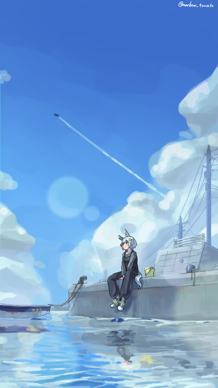 1girl aircraft airplane animal_ears blue_eyes blue_sky bucket closed_mouth clouds cloudy_sky commentary_request dock ear_covers grey_hair hair_ornament hairclip highres horse_ears horse_girl horse_tail jet lens_flare marbow_tomato ocean outdoors overalls reflection reflective_water seiun_sky_(umamusume) shoes short_hair single_ear_cover sitting sky smile sneakers solo tail umamusume utility_pole water white_footwear