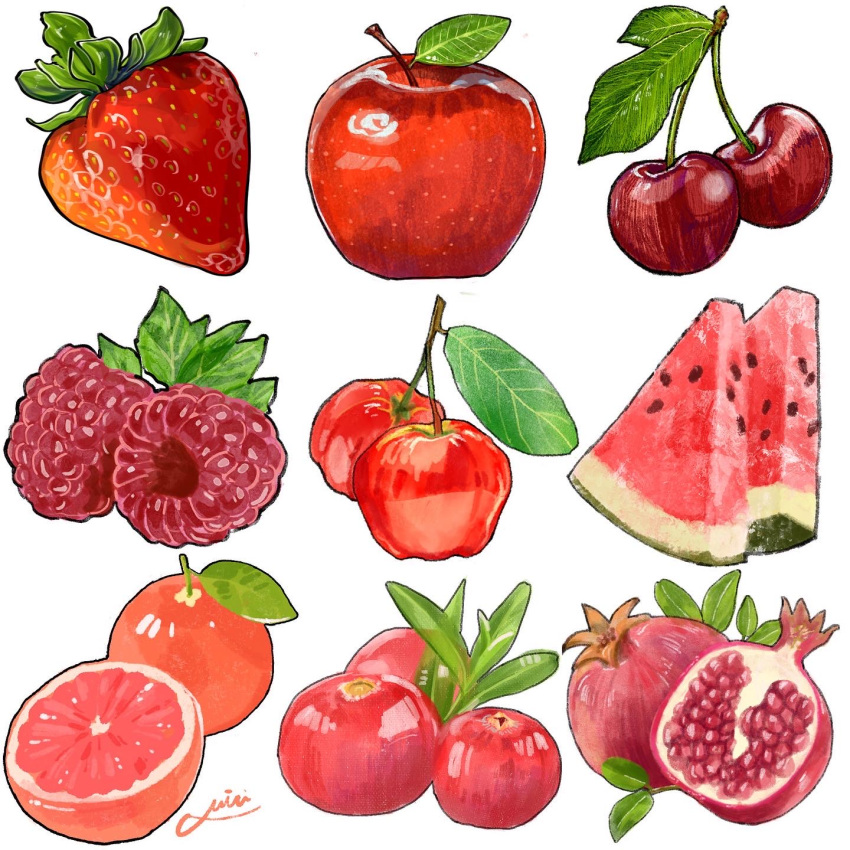apple berry cherry food food_focus fruit highres miri_illust no_humans original pomegranate red_apple simple_background strawberry watermelon watermelon_slice white_background
