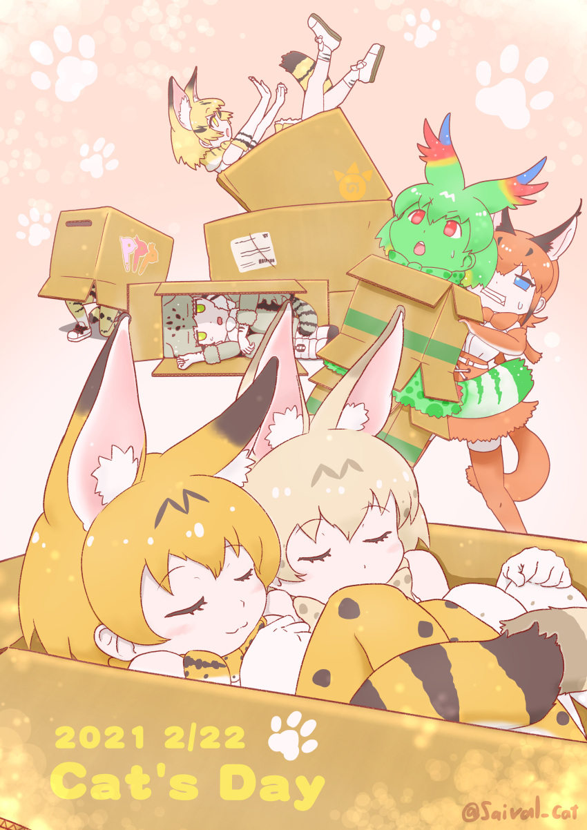 6+girls :3 absurdres animal_ears animal_print bare_shoulders blonde_hair blue_eyes blush boots bow bowtie box caracal_(kemono_friends) caracal_ears cardboard_box cat_day cat_ears cat_girl cat_print cat_tail cellval closed_eyes colored_skin elbow_gloves extra_ears gloves green_hair green_skin green_skirt grey_hair grey_pantyhose hair_between_eyes highres in_box in_container kemono_friends kemono_friends_3 margay_(kemono_friends) margay_print multiple_girls orange_bow orange_bowtie orange_gloves orange_hair pantyhose print_bow print_bowtie print_gloves print_socks print_thighhighs red_eyes saival_cat sand_cat_print serval_(kemono_friends) serval_print shirt short_hair sidelocks skirt sleeping socks sweatdrop tail thigh-highs white_bow white_bowtie white_footwear white_hair white_serval_(kemono_friends) white_shirt yellow_eyes