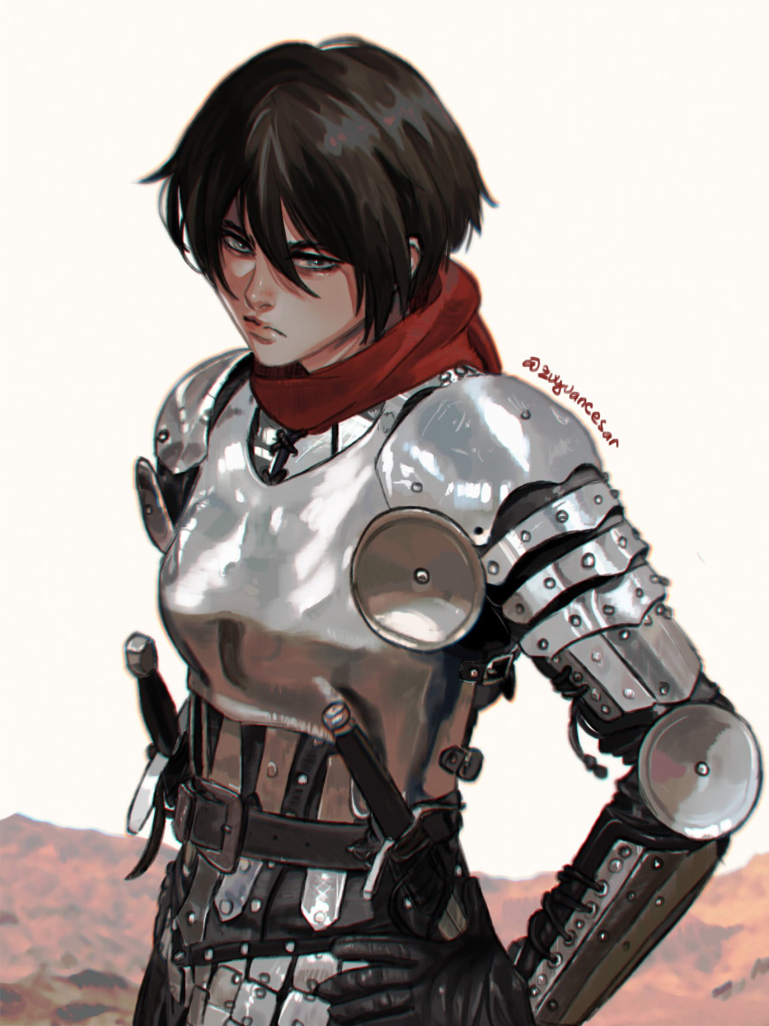1girl armor artist_name black_hair blue_eyes blurry breastplate commentary depth_of_field english_commentary frown hand_on_own_hip highres looking_at_viewer mikasa_ackerman red_scarf scarf serious sheath sheathed shingeki_no_kyojin short_hair shoulder_armor solo upper_body white_background zu_yuan_cesar