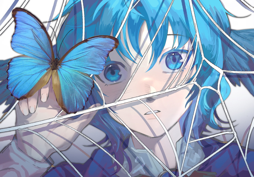 1girl bird_wings blue_butterfly blue_eyes blue_hair blue_theme bug butterfly chinese_commentary close-up colored_eyelashes commentary_request eeeee668 feathered_wings final_fantasy final_fantasy_xiv hand_up head_wings highres looking_at_viewer meteion parted_lips portrait short_hair silk simple_background solo spider_web white_background wings