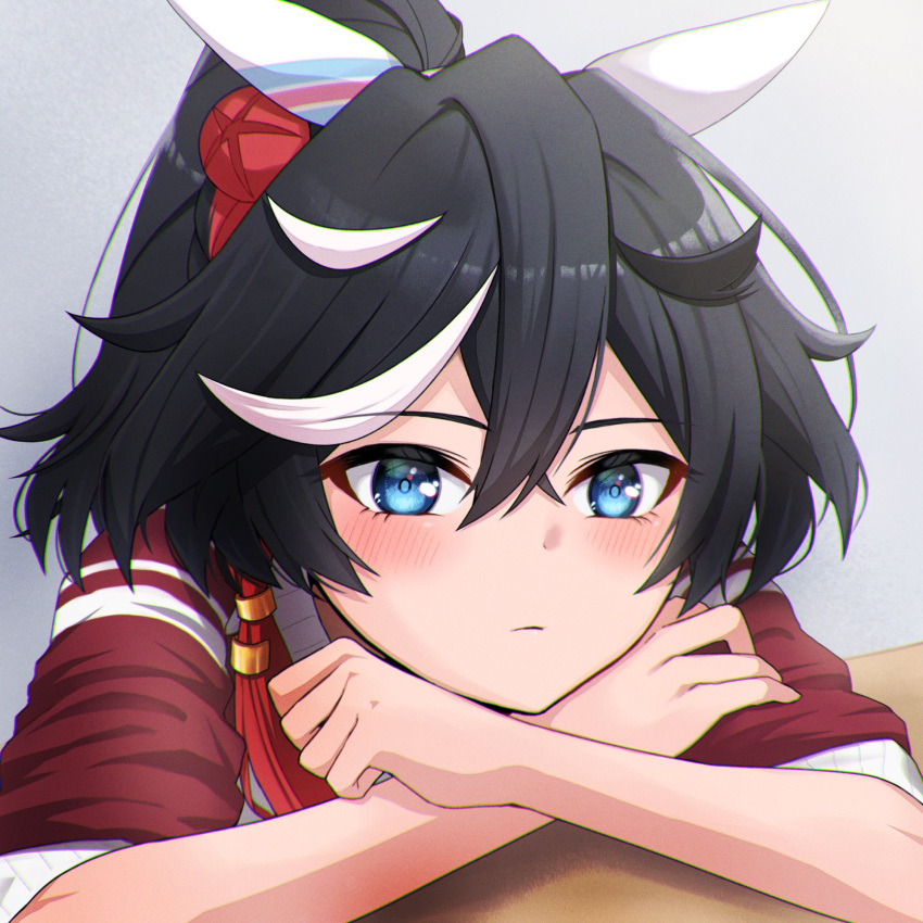 1girl animal_ears black_hair blue_eyes blush closed_mouth commentary_request crossed_arms desk ear_covers grey_background hair_between_eyes head_rest highres horse_ears horse_girl jacket katsuragi_ace_(umamusume) long_sleeves looking_at_viewer medium_hair multicolored_hair ponytail prtn_(ttnx) simple_background sleeves_rolled_up solo streaked_hair tracen_training_uniform track_jacket umamusume white_hair