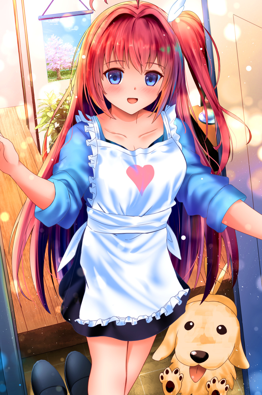 1girl :d absurdres ahoge ao_no_kanata_no_four_rhythm apron black_skirt blue_eyes blue_shirt blush commentary dog frilled_apron frills hair_between_eyes hair_intakes hanging_scroll happy heart heart_print highres indoors izumikuu kurashina_asuka light_particles long_hair looking_at_viewer one_side_up open_door open_mouth pink_hair plant potted_plant scroll shirt skirt sleeves_rolled_up slippers smile solo straight_hair unworn_slippers very_long_hair white_apron