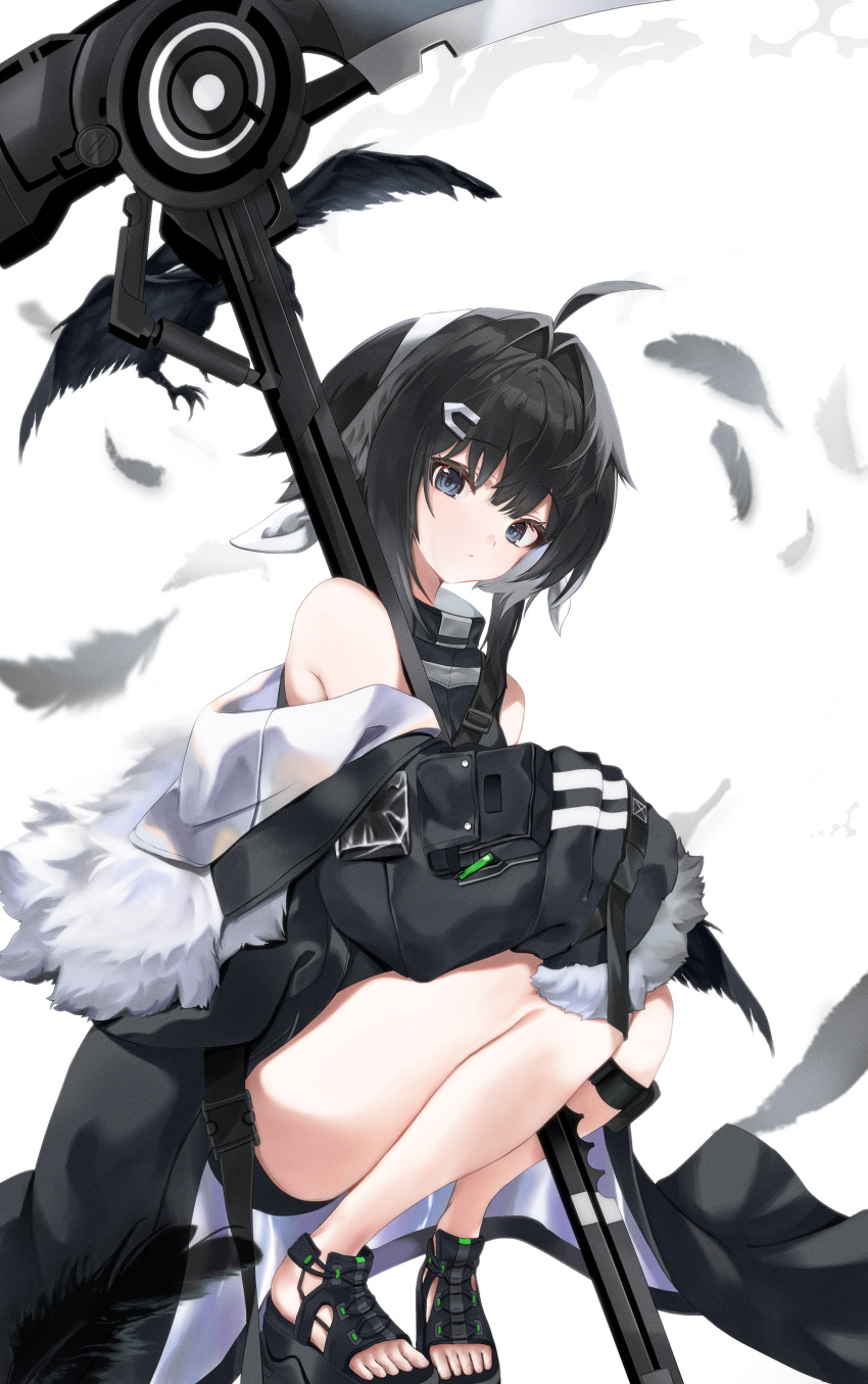 1girl absurdres ahoge animal arknights arm_pouch armpit_crease bare_shoulders belt between_legs bird black_belt black_feathers black_footwear black_hair black_hood black_jacket black_pouch black_shirt black_shorts bloom blurry blurry_background blurry_foreground breasts buckle closed_mouth collared_shirt commentary_request crow depth_of_field expressionless falling_feathers feather_hair feathers film_grain flying from_side full_body fur-trimmed_hood fur-trimmed_jacket fur-trimmed_sleeves fur_trim grey_eyes grey_feathers hair_intakes hair_ornament hairband hairclip head_tilt highres hood hood_down hooded_jacket invisible_floor jacket knees_together_feet_apart la_pluma_(arknights) legs long_sleeves looking_at_viewer looking_to_the_side medium_hair muang_(muang_vrc) multiple_belts no_socks off-shoulder_jacket off_shoulder open_clothes open_jacket pouch sandals scythe shadow shirt short_shorts shorts shoulder_belt simple_background sleeveless sleeves_past_fingers sleeves_past_wrists small_breasts snap-fit_buckle solo squatting thighs toenails toes weapon white_background white_hairband wide_sleeves wrist_belt