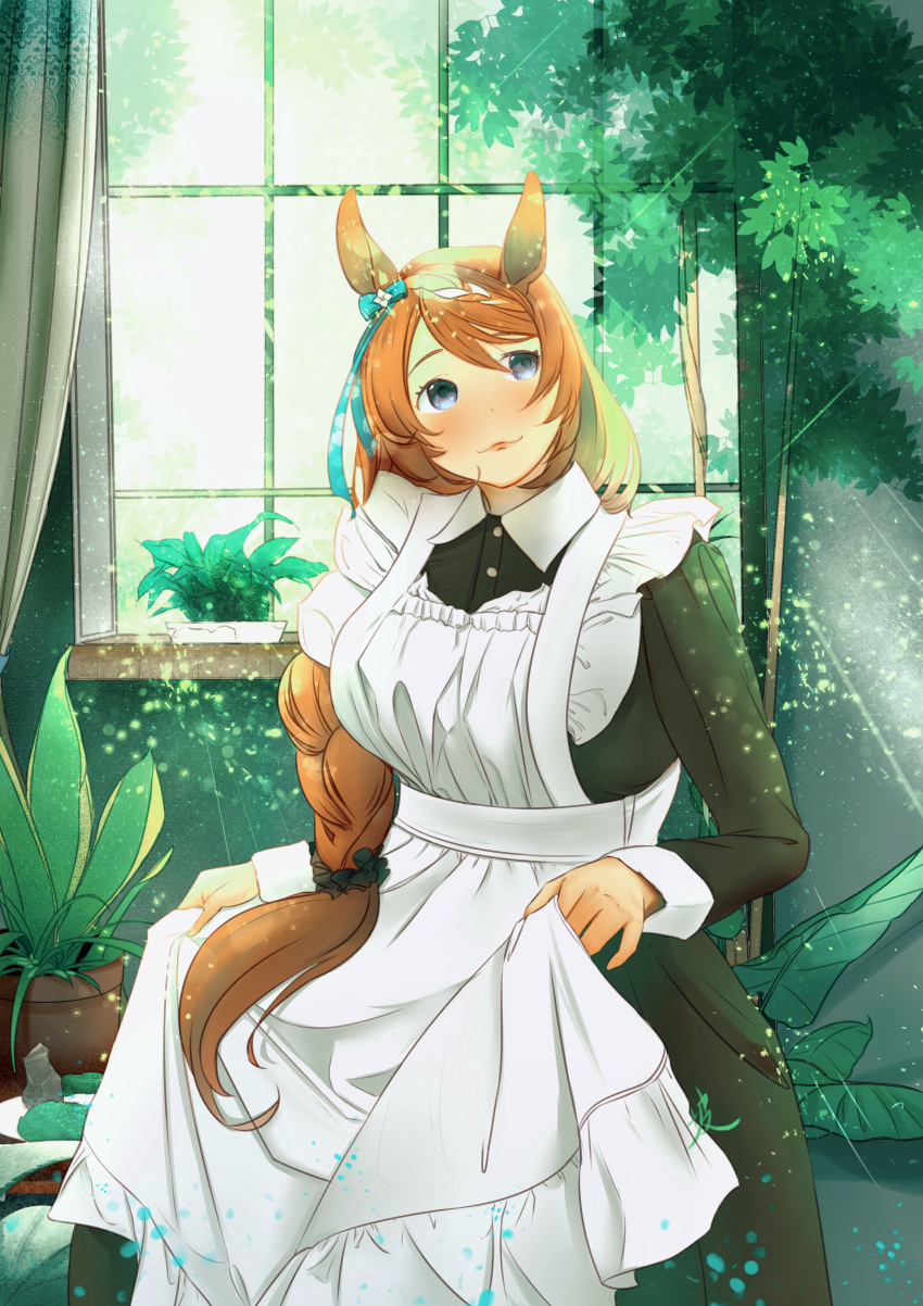 1girl absurdres alternate_costume animal_ears blue_bow blush bow braid braided_ponytail breasts collared_dress commentary_request curtains dress ear_bow enmaided frilled_dress frills grey_eyes highres horse_ears horse_girl horse_tail indoors long_hair long_sleeves maid medium_breasts multicolored_hair plant potted_plant pursed_lips single_braid smile solo streaked_hair super_creek_(umamusume) tail umamusume user_gmyx5834