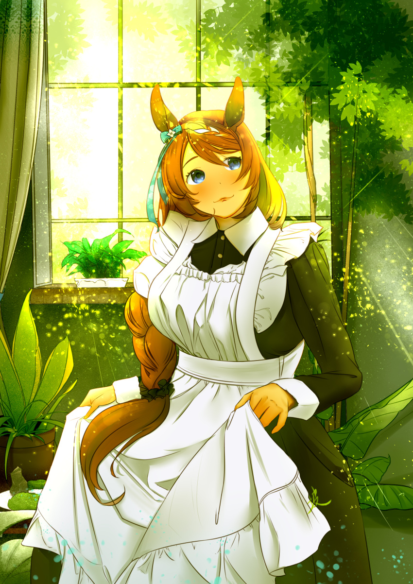 1girl absurdres alternate_costume animal_ears blue_bow blush bow braid braided_ponytail breasts collared_dress commentary_request curtains dress ear_bow enmaided frilled_dress frills grey_eyes highres horse_ears horse_girl horse_tail indoors long_hair long_sleeves maid medium_breasts multicolored_hair plant potted_plant pursed_lips single_braid smile solo streaked_hair super_creek_(umamusume) tail umamusume user_gmyx5834