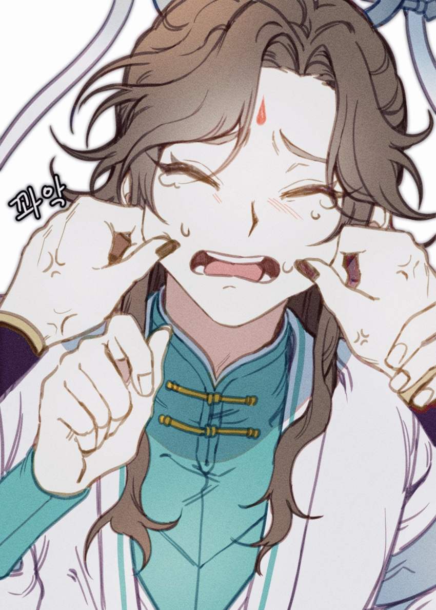 1girl anger_vein bisu_(hw3op) black_nails blush brown_hair cheek_pinching crying facial_mark forehead_mark hand_on_another's_cheek hand_on_another's_face hand_up highres holding_another's_wrist korean_commentary long_hair ming_yi open_mouth out_of_frame pinching robe shi_qingxuan simple_background tears teeth thick_eyelashes tianguan_cifu upper_body white_background white_robe xiao_guan_(headdress)