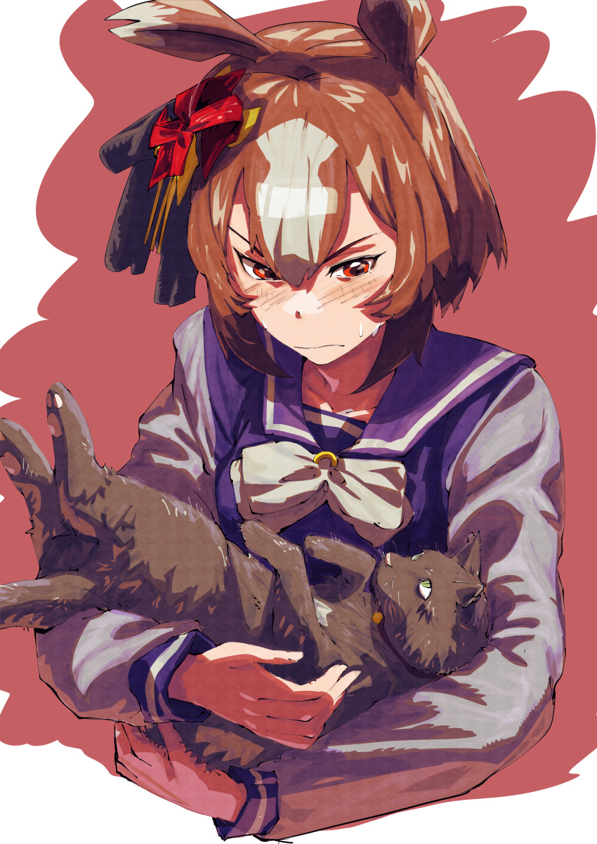 1girl absurdres animal animal_ears brown_hair cat closed_mouth commentary_request ear_ornament hair_between_eyes highres holding holding_animal horse_ears horse_girl long_sleeves multicolored_hair pinwheel_hair_ornament purple_shirt red_background red_eyes school_uniform shirt short_hair simple_background solo streaked_hair tracen_school_uniform umamusume upper_body v-shaped_eyebrows white_background white_hair yaeno_muteki_(umamusume) yuyuyukke
