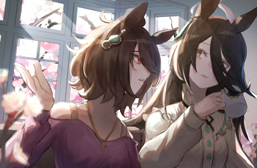 2girls agnes_tachyon_(umamusume) ahoge animal_ears bare_shoulders black_hair black_ribbon brown_hair chemical_structure cherry_blossoms coffee_mug commentary_request cup earrings hair_between_eyes holding holding_cup horse_ears horse_girl indoors jewelry long_hair long_sleeves manhattan_cafe_(umamusume) mug multicolored_hair multiple_girls necklace official_alternate_costume open_mouth purple_sweater red_eyes ribbon shirt siena_(moratoriummaga) single_earring sitting streaked_hair sunlight sweater umamusume white_hair white_shirt window yellow_eyes