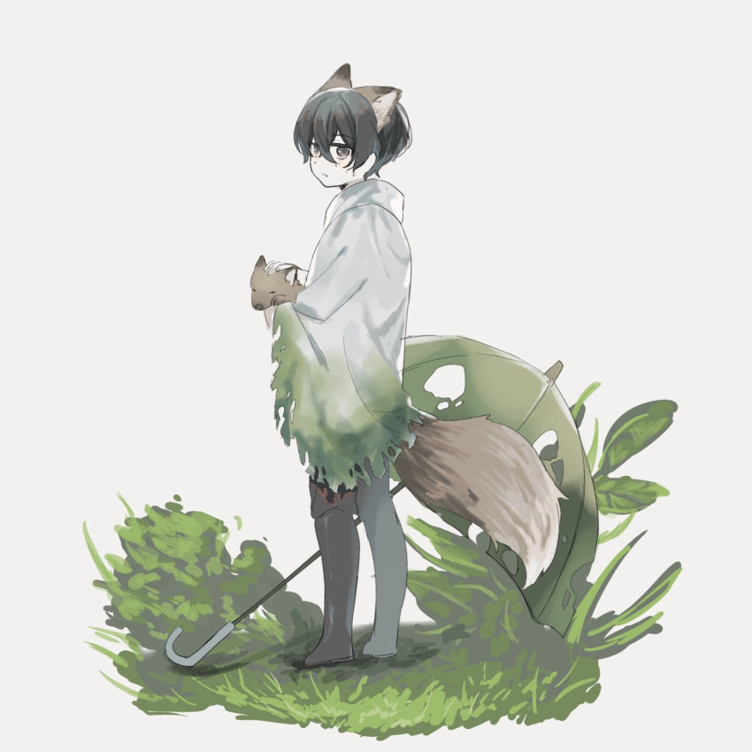 1boy animal_ears black_eyes black_footwear black_hair black_pants boots closed_mouth coat drifting_fox e.g.o_(project_moon) fox fox_ears fox_tail grass highres hood hood_down limbus_company looking_at_viewer male_focus omimimi_01 pants project_moon simple_background solo tail umbrella white_background white_coat yi_sang_(project_moon)