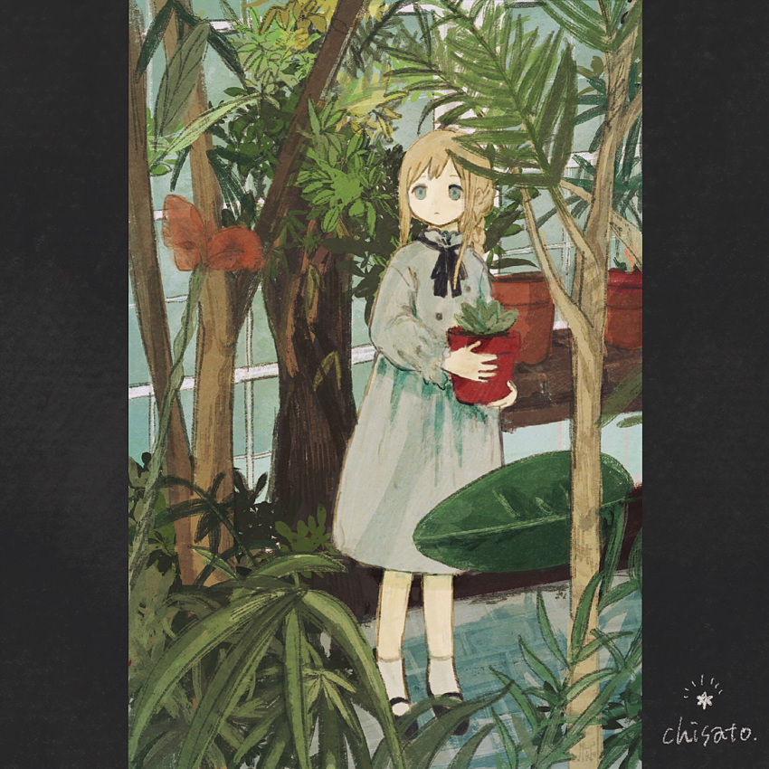 1girl artist_name black_footwear black_ribbon blue_dress blue_eyes braid braided_ponytail chisato_charme closed_mouth commentary dress expressionless flower flower_pot full_body greenhouse highres holding holding_flower_pot indoors long_hair long_sleeves looking_at_flowers looking_at_viewer mary_janes neck_ribbon original pillarboxed plant potted_plant red_flower ribbon shoes sidelocks socks solo standing star_(symbol) symbol-only_commentary tree white_socks