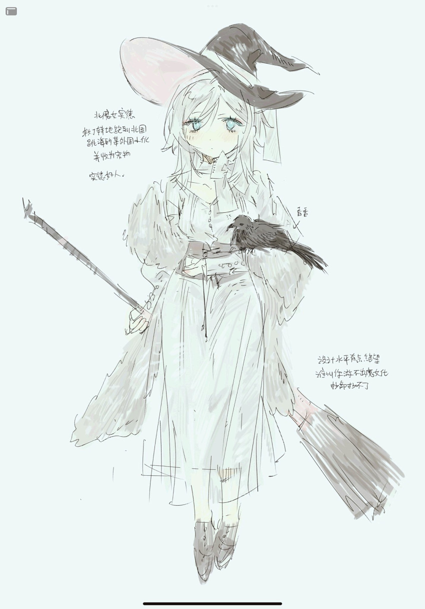 1girl bird blue_eyes blush broom closed_mouth coat crow dress faust_(project_moon) full_body hat highres holding holding_broom limbus_company meijiichigo project_moon short_hair simple_background sketch solo white_background white_coat white_dress white_hair witch_hat