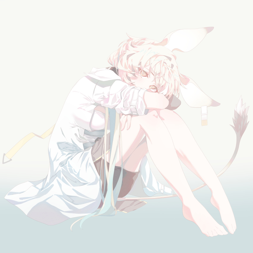 1girl absurdres animal_ears arknights bare_legs barefoot black_shorts blonde_hair coat commentary dorothy_(arknights) gradient_background grey_background highres hugging_own_legs knees_up kujou_koto lab_coat long_hair looking_at_viewer mouse_ears mouse_girl mouse_tail shirt shorts solo tail very_long_hair white_coat white_shirt yellow_eyes