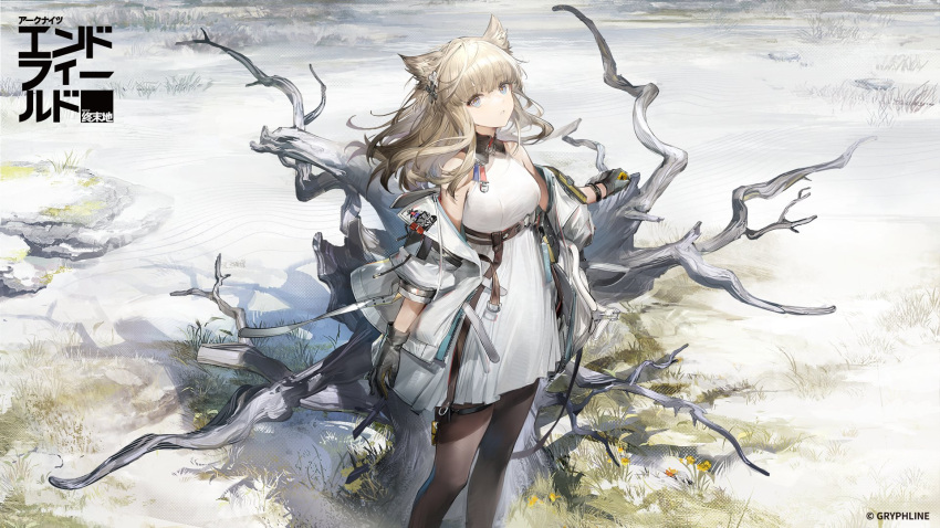 1girl animal_ears arknights arknights:_endfield artist_request bare_shoulders black_gloves black_pantyhose breasts dress feet_out_of_frame gloves grey_hair highres jacket long_hair medium_breasts official_art outdoors pantyhose perlica_(arknights) second-party_source sleeveless sleeveless_dress solo standing white_dress white_jacket