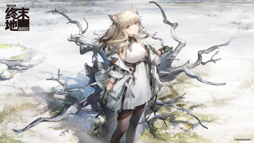 1girl animal_ears arknights arknights:_endfield artist_request bare_shoulders black_gloves black_pantyhose breasts chinese_commentary commentary_request dress feet_out_of_frame gloves grey_hair highres jacket long_hair medium_breasts official_art outdoors pantyhose perlica_(arknights) second-party_source sleeveless sleeveless_dress solo standing white_dress white_jacket