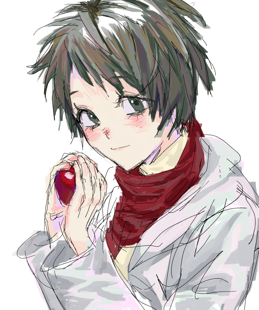 1girl apple closed_mouth food fruit green_eyes green_hair highres holding holding_food holding_fruit isoi_rai lab_coat long_sleeves red_scarf saibou_shinkyoku scarf short_hair simple_background siqiulaozhang sketch smile solo sweater turtleneck turtleneck_sweater white_background yellow_sweater