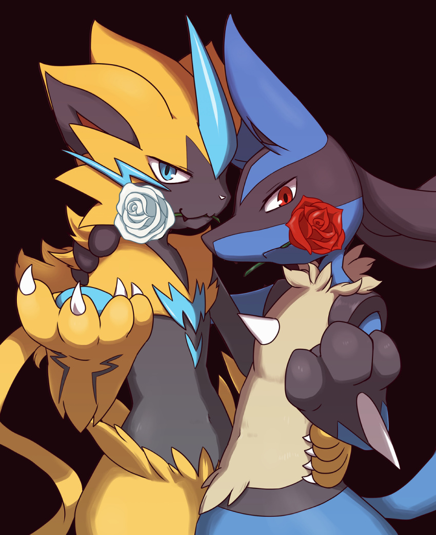 arm_around_waist arm_on_another's_shoulder black_background blue_eyes claws enohito flower flower_in_mouth highres looking_at_viewer lucario pokemon pokemon_(creature) red_eyes red_flower red_rose rose simple_background upper_body white_flower white_rose zeraora