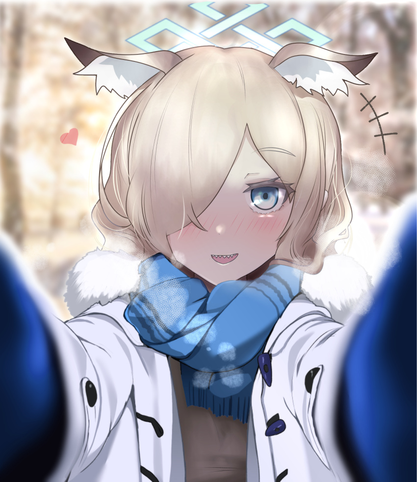 1girl :d alternate_costume animal_ear_fluff animal_ears blue_archive blue_eyes blue_mittens blue_scarf blurry blush bread13 breath coat commentary_request depth_of_field dog_ears dog_girl ear_down extra_ears fur-trimmed_coat fur_trim hair_over_one_eye halo highres kanna_(blue_archive) light_brown_hair long_hair looking_at_viewer meme mittens open_clothes open_coat outdoors parted_bangs pov pov_cheek_warming_(meme) scarf sharp_teeth sidelocks smile solo teeth visible_air white_coat winter_clothes winter_coat