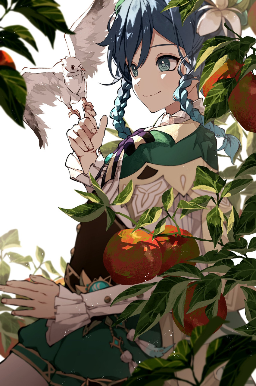 1boy apple arm_at_side bird bird_on_hand black_bow black_bowtie black_corset blue_hair blurry bow bowtie braid cape cha_hanare closed_mouth collared_cape corset cowboy_shot depth_of_field flower food frilled_sleeves frills fruit genshin_impact gradient_hair green_cape green_eyes green_shorts hair_flower hair_ornament hand_up highres leaf long_sleeves looking_at_animal male_focus multicolored_hair pantyhose puffy_shorts shade shirt short_hair short_hair_with_long_locks shorts side_braids simple_background smile solo striped striped_bow striped_bowtie twin_braids venti_(genshin_impact) vision_(genshin_impact) white_background white_bird white_flower white_pantyhose white_shirt yellow_bow yellow_bowtie