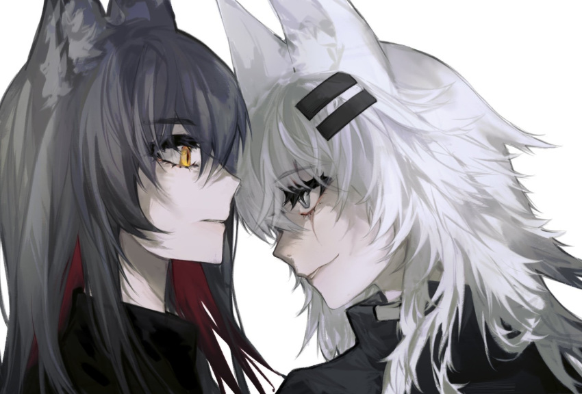 2girls animal_ear_fluff animal_ears arknights black_jacket blue_hair chinese_commentary close-up colored_inner_hair commentary_request crossed_bangs expressionless eye_contact eyelashes eyeliner from_side grey_eyes grin hair_between_eyes hair_flowing_over hair_ornament hairclip head_down high_collar jacket lappland_(arknights) long_bangs long_hair looking_at_another looking_down looking_up makeup messy_hair miun_wave multicolored_hair multiple_girls orange_eyes pale_skin parted_lips portrait profile red_eyeliner redhead scar scar_across_eye scar_on_face shadow simple_background slit_pupils smile straight_hair teeth texas_(arknights) two-tone_hair white_background wolf_ears wolf_girl