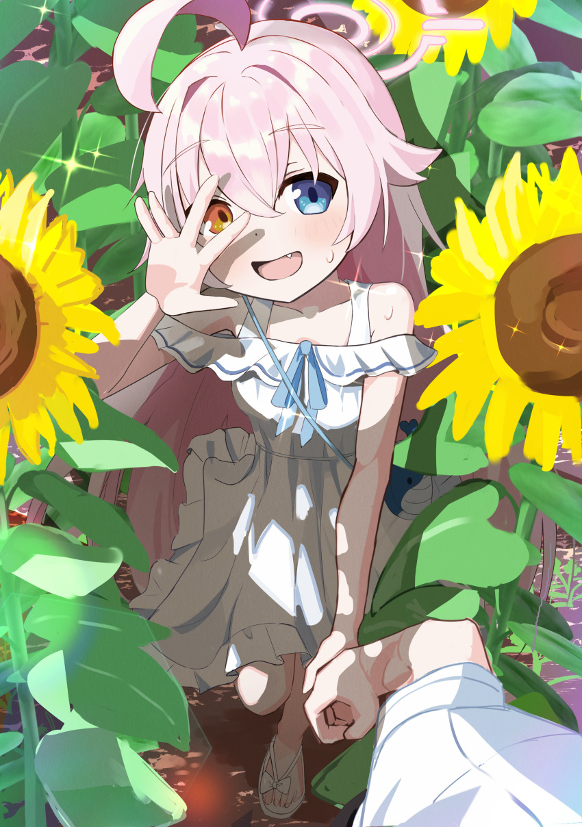 1girl 1other absurdres ahoge blue_archive blue_eyes blush collarbone dress fang flower hair_between_eyes halo highres hoshino_(blue_archive) long_hair looking_at_viewer open_mouth pink_hair pink_halo solo_focus sundress sunflower thomason366 white_dress yellow_eyes yellow_flower