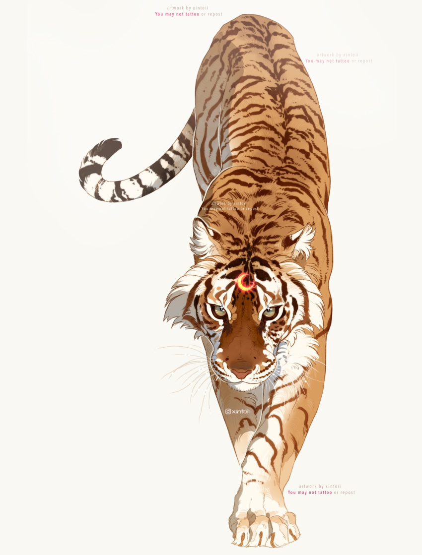 animal commentary crescent english_commentary full_body highres instagram_username looking_at_viewer no_humans original simple_background tiger white_background xiintoii