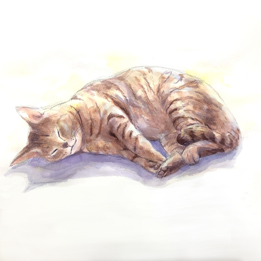 animal animal_focus artworksmil cat closed_eyes highres lying no_humans on_side original painting_(medium) realistic shadow sleeping solo traditional_media watercolor_(medium)