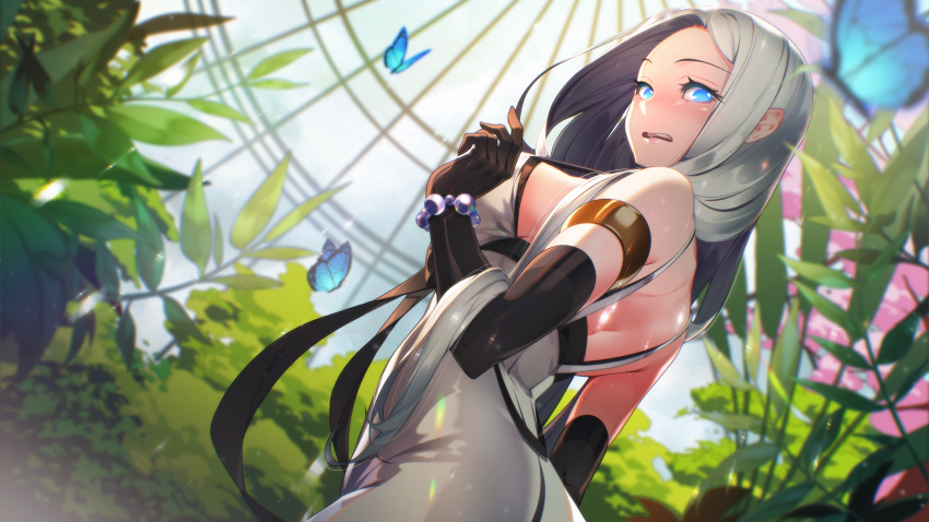 1girl armlet bare_shoulders black_gloves black_ribbon blue_eyes blush breasts bug butterfly day dress dutch_angle elbow_gloves flower game_cg gloves hair_over_shoulder highres indoors large_breasts light_particles looking_at_viewer looking_back miracle_snack_shop non-web_source nose_blush official_art open_mouth parted_bangs philia_salis pink_flower plant ribbon sidelocks solo standing sunlight surprised talesshop ukero upper_body white_dress white_hair