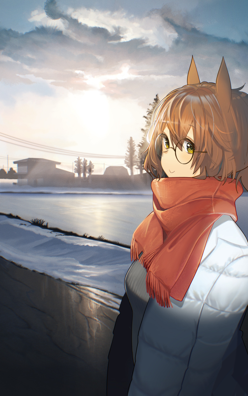 1girl absurdres animal_ears ashinowoto aston_machan_(umamusume) breasts brown_hair building closed_mouth clouds coat glasses green_eyes grey_sweater highres horse_ears horse_girl long_sleeves looking_at_viewer medium_breasts open_clothes open_coat outdoors power_lines round_eyewear scarf short_hair smile snow solo standing sweater tree umamusume white_coat