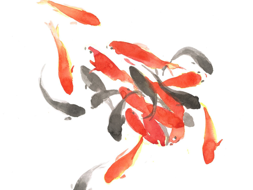 animal artworksmil fish goldfish highres no_humans original painting_(medium) traditional_media watercolor_(medium) white_background