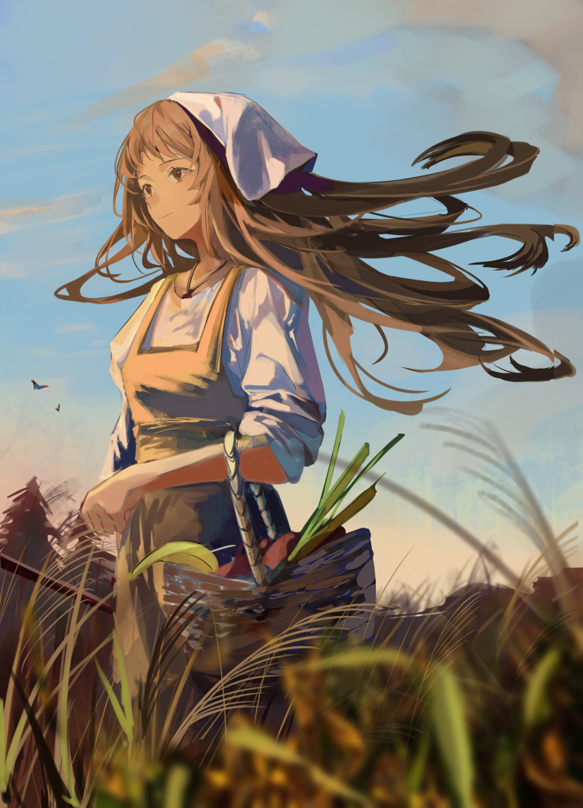 1girl absurdres basket brown_eyes brown_hair clouds evening food fruit grass highres holding holding_basket jenmin12 jewelry long_hair looking_to_the_side necklace original solo tall_grass wind