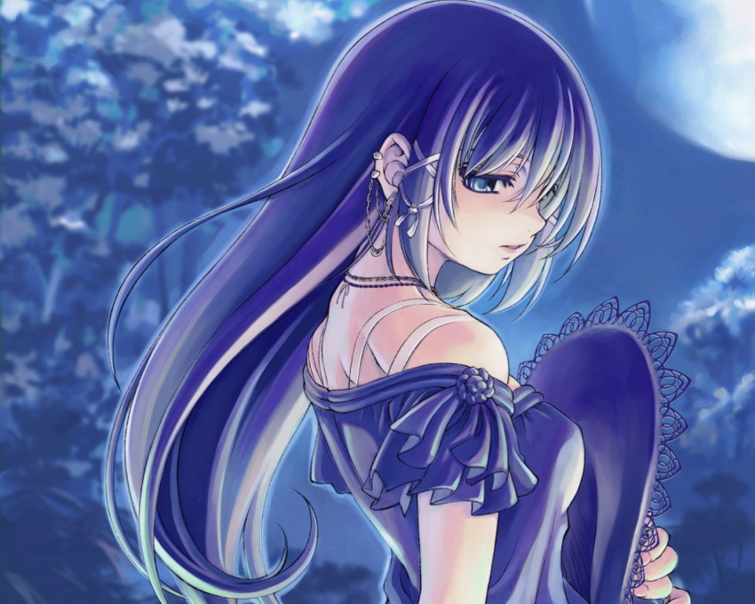 1girl blue_eyes night standing tagme violet_hair