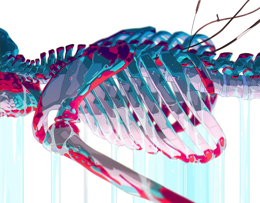 1other bone colorful dripping highres lying original ribs simple_background skeleton solo spine teru_by_m water white_background