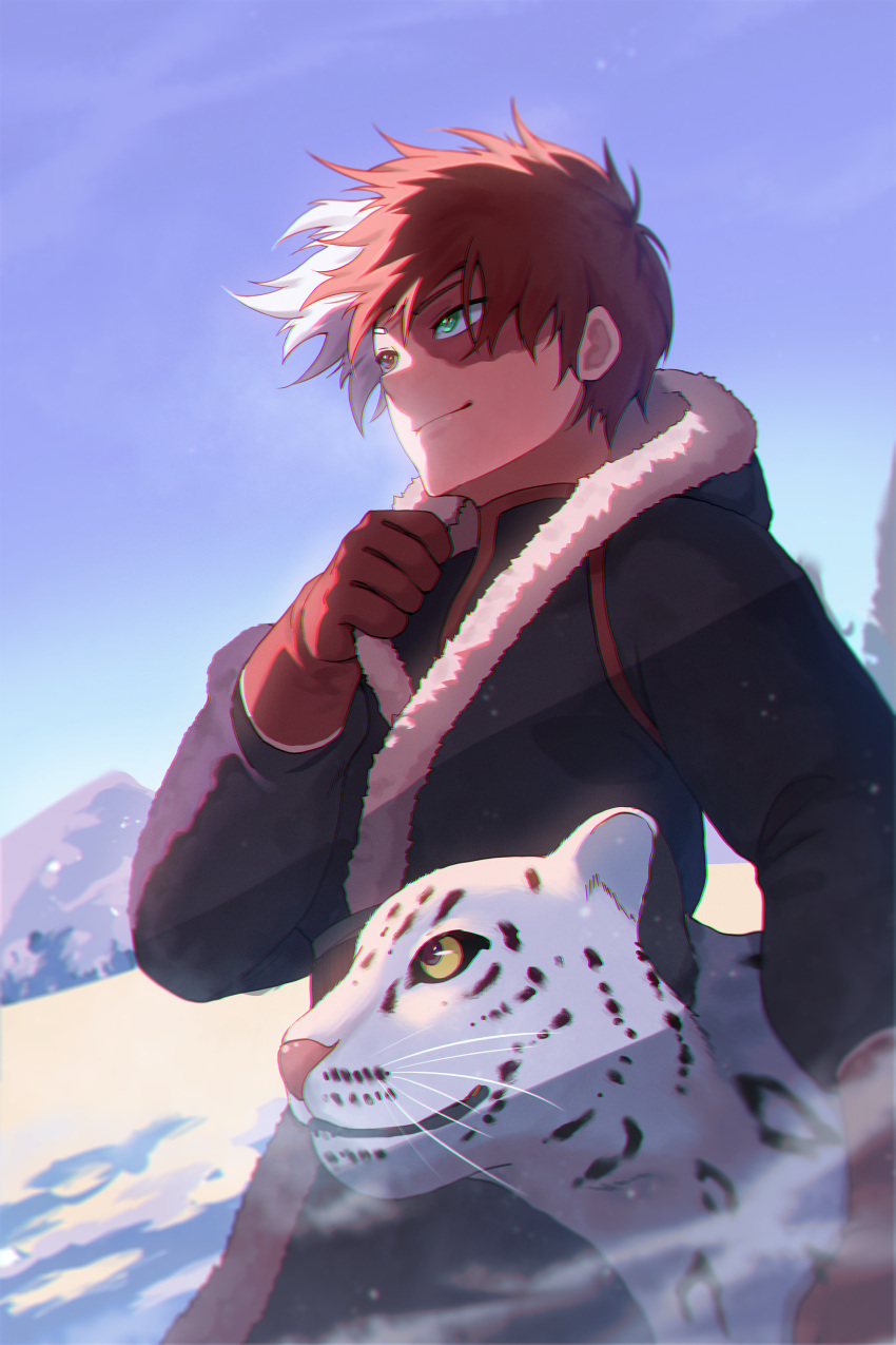 1boy absurdres alternate_costume animal black_coat blue_eyes boku_no_hero_academia brown_eyes closed_mouth coat day fur-trimmed_coat fur_trim gloves heterochromia highres male_focus matsumotoshinnnosuke multicolored_hair outdoors red_gloves redhead smile snow snow_leopard solo split-color_hair todoroki_shouto two-tone_hair white_hair winter_clothes winter_coat