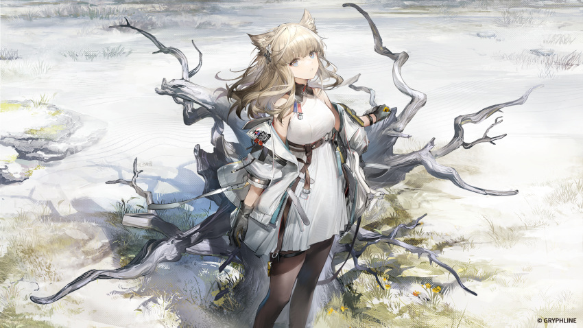 1girl animal_ears arknights arknights:_endfield artist_request bare_shoulders black_gloves black_pantyhose breasts dress feet_out_of_frame gloves grey_hair highres jacket long_hair medium_breasts official_art outdoors pantyhose perlica_(arknights) second-party_source sleeveless sleeveless_dress solo standing white_dress white_jacket