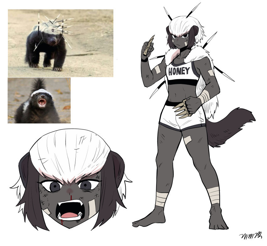 1girl absurdres animal_ears bandage_on_face bandage_on_leg bandaged_arm bandages barefoot black_hair blood capelet collarbone colored_skin creature_and_personification crop_top cropped_head english_text fangs full_body fur_capelet gegegekman grey_eyes grey_skin highres honey_badger injury multicolored_hair multiple_views navel nosebleed open_mouth original photo_inset quill reference_inset shirt shorts sidelocks solo spiked_knuckles sports_bra stomach tail two-tone_hair white_hair white_shirt white_shorts