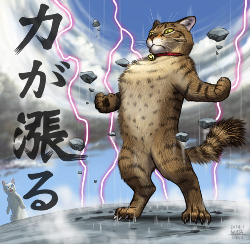 2others animal animal_focus bell cat claws collar electricity floating_rock matataku multiple_others neck_bell original powering_up red_collar solo_focus standing surprised_cat_(matataku) translation_request