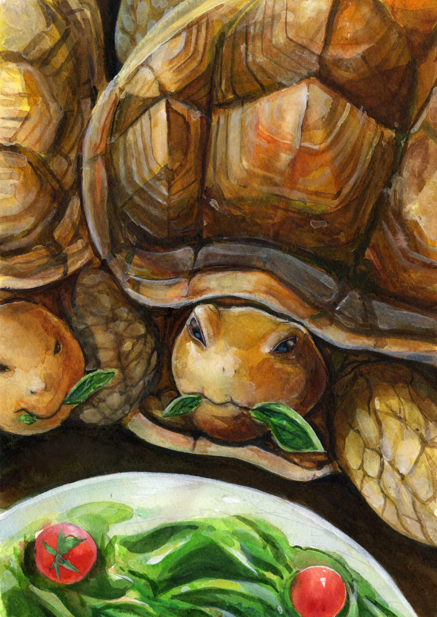 absurdres animal animal_focus eating food_in_mouth highres leaf no_humans original painting_(medium) plate tomato tomoichi tortoise traditional_media turtle turtle_shell watercolor_(medium)