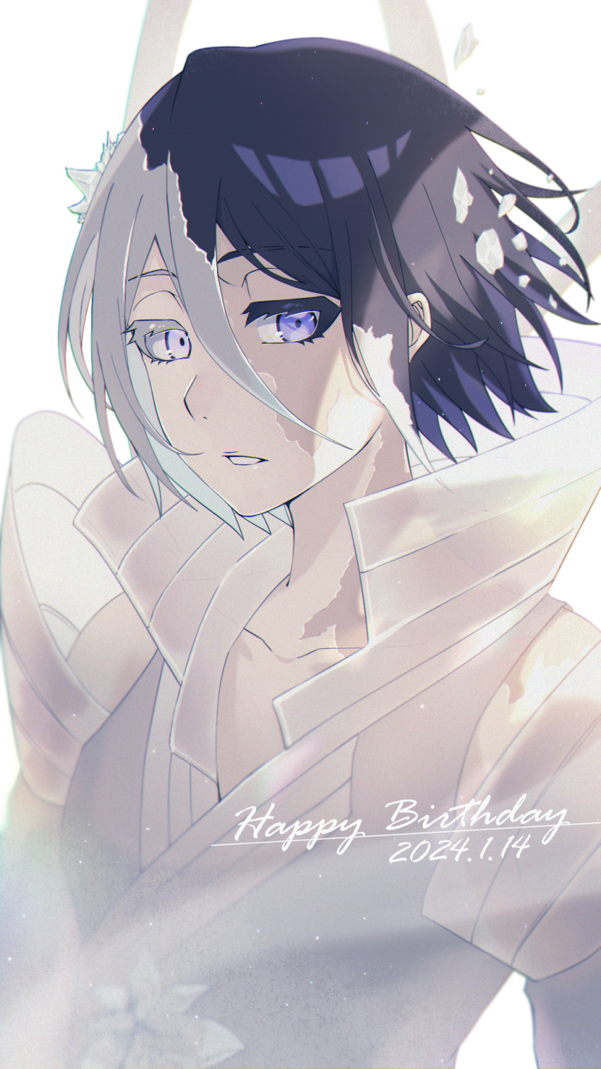 1girl 2024 bankai black_hair bleach bleach:_sennen_kessen-hen collarbone colored_eyelashes commentary dated dress eyelashes floating_hair hair_between_eyes hakka_no_togame_(bankai) happy_birthday high_collar highres ice kuchiki_rukia looking_at_viewer multicolored_hair nose parted_lips short_hair sidelighting simple_background solo sumire_1046 two-tone_hair upper_body violet_eyes white_background white_dress white_hair