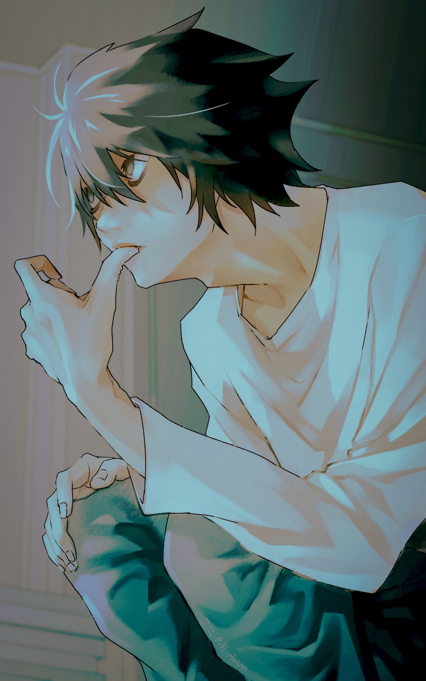 1boy absurdres arare_(artist) baggy_clothes biting black_eyes black_hair death_note denim expressionless from_below hair_between_eyes hand_on_own_knee highres jeans l_(death_note) looking_at_screen male_focus messy_hair pants parted_lips shirt short_hair sidelighting sitting solo squatting thumb_biting white_shirt
