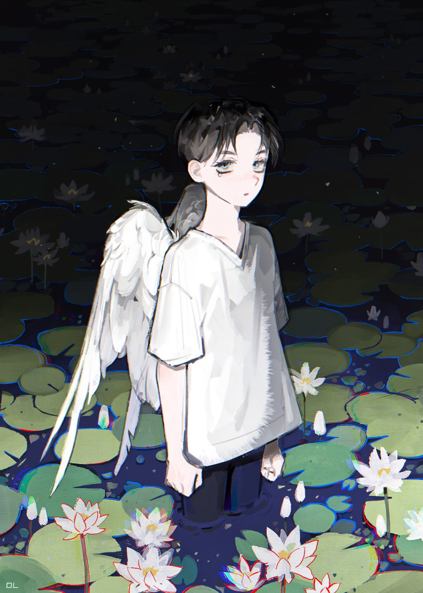 1boy arm_at_side black_hair chromatic_aberration cowboy_shot curtained_hair feathered_wings flower from_side gradient_background highres lily_pad lotus mong_120 original parted_lips partially_submerged shirt short_hair short_sleeves solo teardrop water white_lotus white_shirt white_wings wings