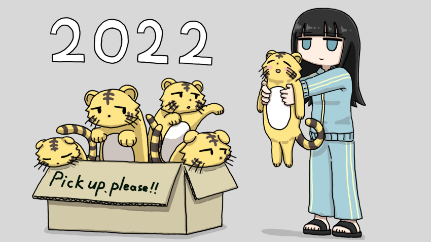 1girl 2022 animal black_hair blue_eyes blue_jacket blue_pants blunt_bangs box cardboard_box closed_mouth fuchina_(fucinami) full_body funo-chan_(fuchina) grey_background highres holding holding_animal in_box in_container jacket long_hair long_sleeves original outstretched_arms pants simple_background slippers smile solid_eyes solo standing tiger track_suit