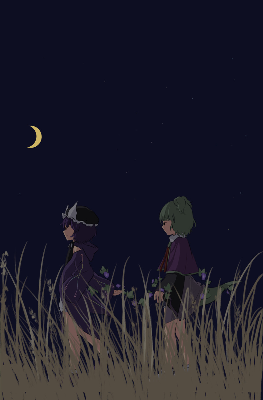 2others absurdres adagumo_no_saragimaru androgynous baila_kuangzi black_eyes black_headwear black_shirt capelet chinese_commentary closed_mouth coat collared_shirt commentary_request crescent_moon detached_hood flower green_hair green_trim grey_shorts hat highres len'en long_sleeves moon multiple_others night nightshade_(flower) open_clothes open_coat other_focus outdoors purple_capelet purple_coat purple_flower purple_hair purple_hood purple_trim shirt shitodo_kuroji short_hair shorts sleeveless sleeveless_shirt snake_tail split_ponytail tail triangular_headpiece white_shorts wide_sleeves