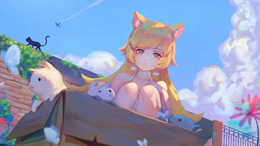 1girl absurdres animal_ear_fluff animal_ears bare_shoulders blonde_hair box brick_wall cardboard_box cat cat_ears clouds commentary_request day dress flower gate highres long_hair looking_at_animal monogatari_(series) oshino_shinobu outdoors petting red_flower squatting white_dress wuqing_yanhui_gang yellow_eyes